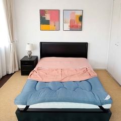 TOPPER LÓT NỆM MÀU XANH