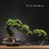  Tiểu cảnh thác khói trầm hương cây xanh trang trí CTM1 