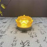  Lư xông đốt trầm hương hoa sen thủy tinh CTM2 