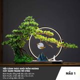  Tiểu cảnh thác khói trầm hương cây xanh trang trí CTM4 