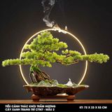  Tiểu cảnh thác khói trầm hương cây xanh trang trí CTM7 