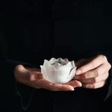  Chân cắm hương trầm hoa sen thủy tinh CTM1 