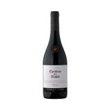 Rượu vang đỏ Chile 2021, Concha Y Toro, Casillero Del Diablo Reserva Syrah - 750Ml