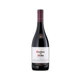 Rượu vang đỏ Chile 2021,Concha Y Toro, Casillero Del Diablo Reserva Pinot Noir - 750Ml