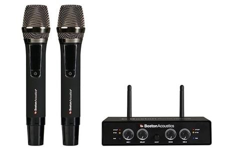  Micro Boston Acoustics WMS210 