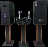  Bộ karaoke BOWEN 12 