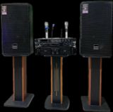  Bộ karaoke BOWEN 12 