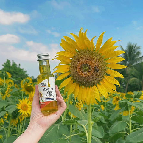  Dầu ăn dinh dưỡng hướng dương 