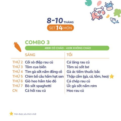 (COMBO 8-10 THÁNG) Set 14 món Combo 3 
