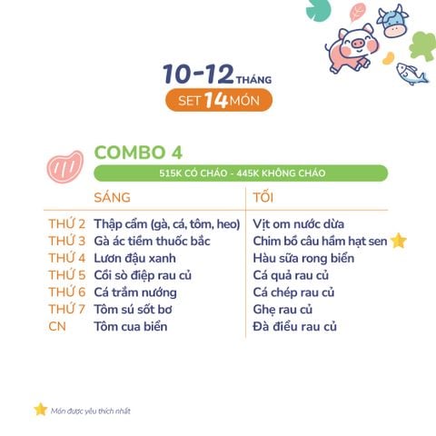  (COMBO 10-12 THÁNG) Set 14 món Combo 4 