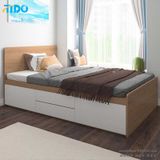  Giường Ngủ TI-GN18 