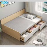  Giường Ngủ TI-GN20 
