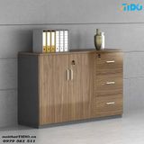  NỘI THẤT VĂN PHÒNG TỦ HỒ SƠ GỖ HIỆN ĐẠI TIDO-WJG-13 