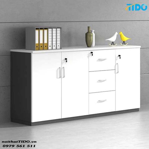  TỦ HỒ SƠ VĂN PHÒNG CHẤT LƯỢNG CAO TIDO-WJG-12 