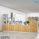  TỦ HỒ SƠ THIẾT KẾ HIỆN ĐẠI, CHẤT LƯỢNG CAO TIDO-WJG-2 