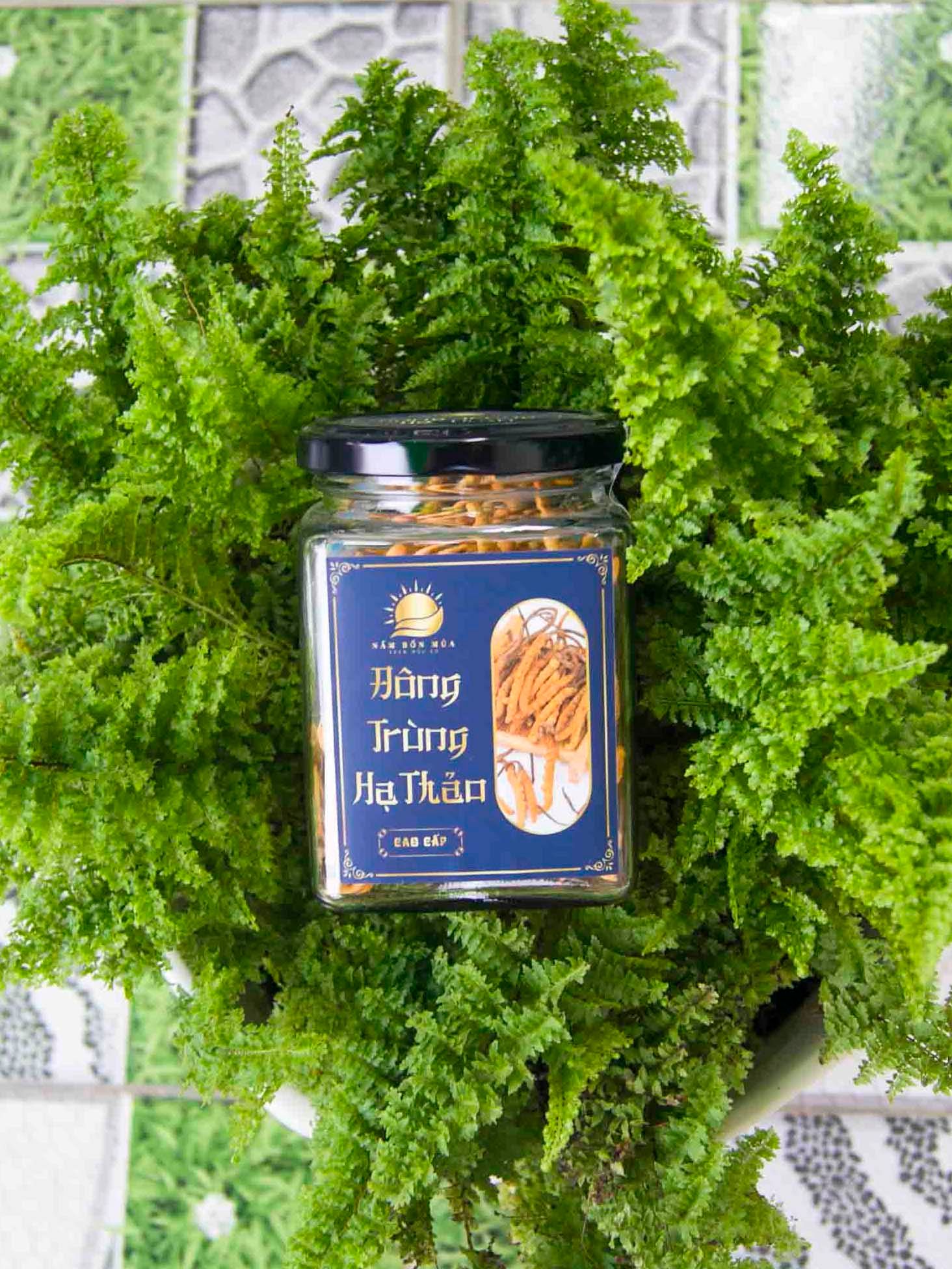 Đông Trùng Hạ Thảo - Cao Cấp 12.5gram