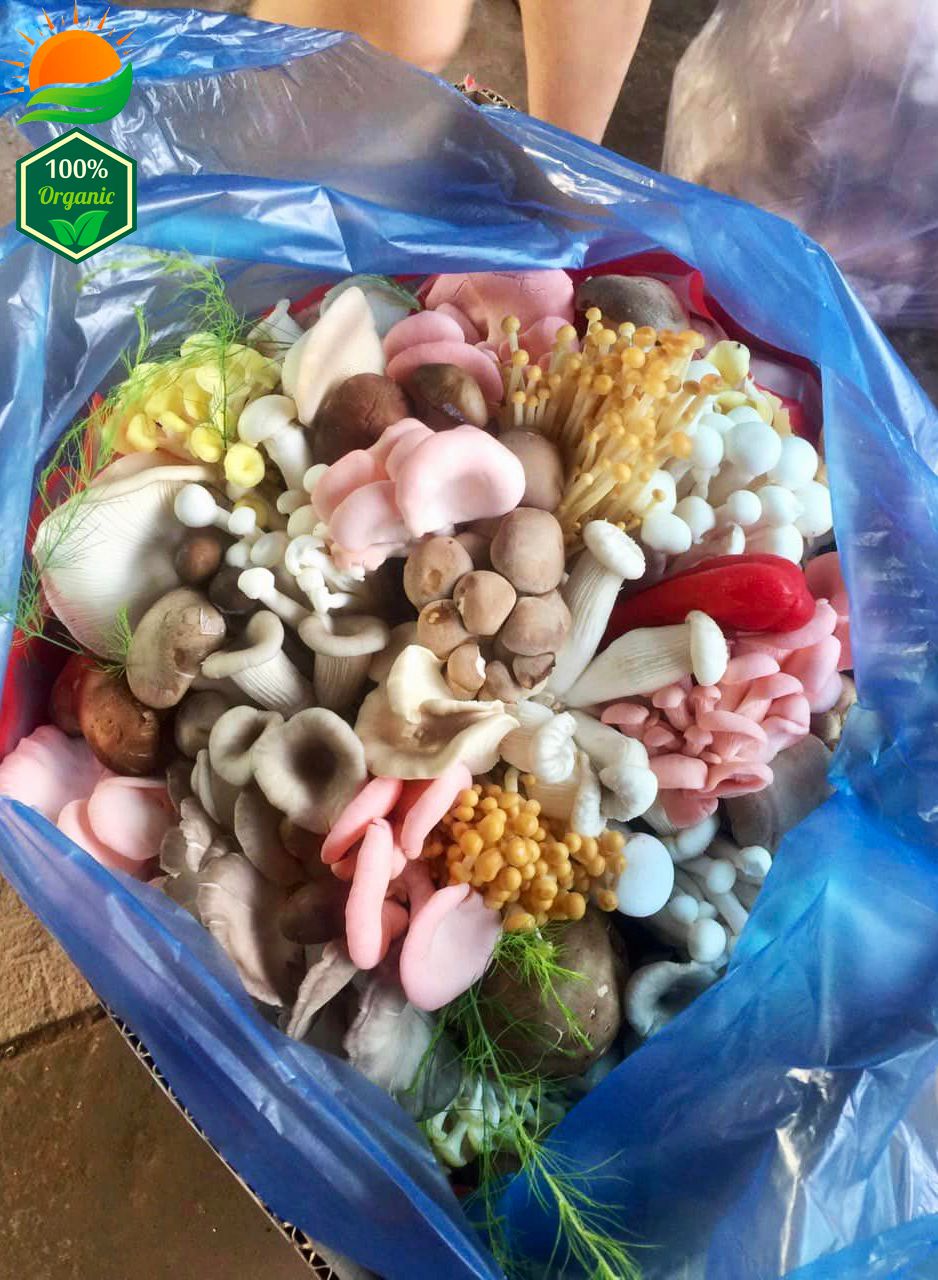 Combo Lẩu Nấm Số 4