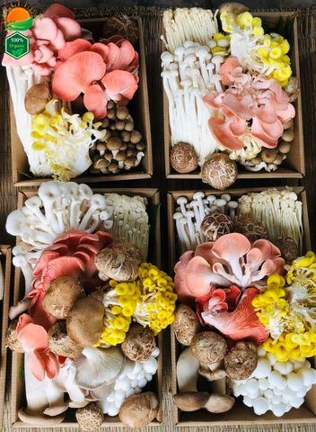 Combo Lẩu Nấm Số 4