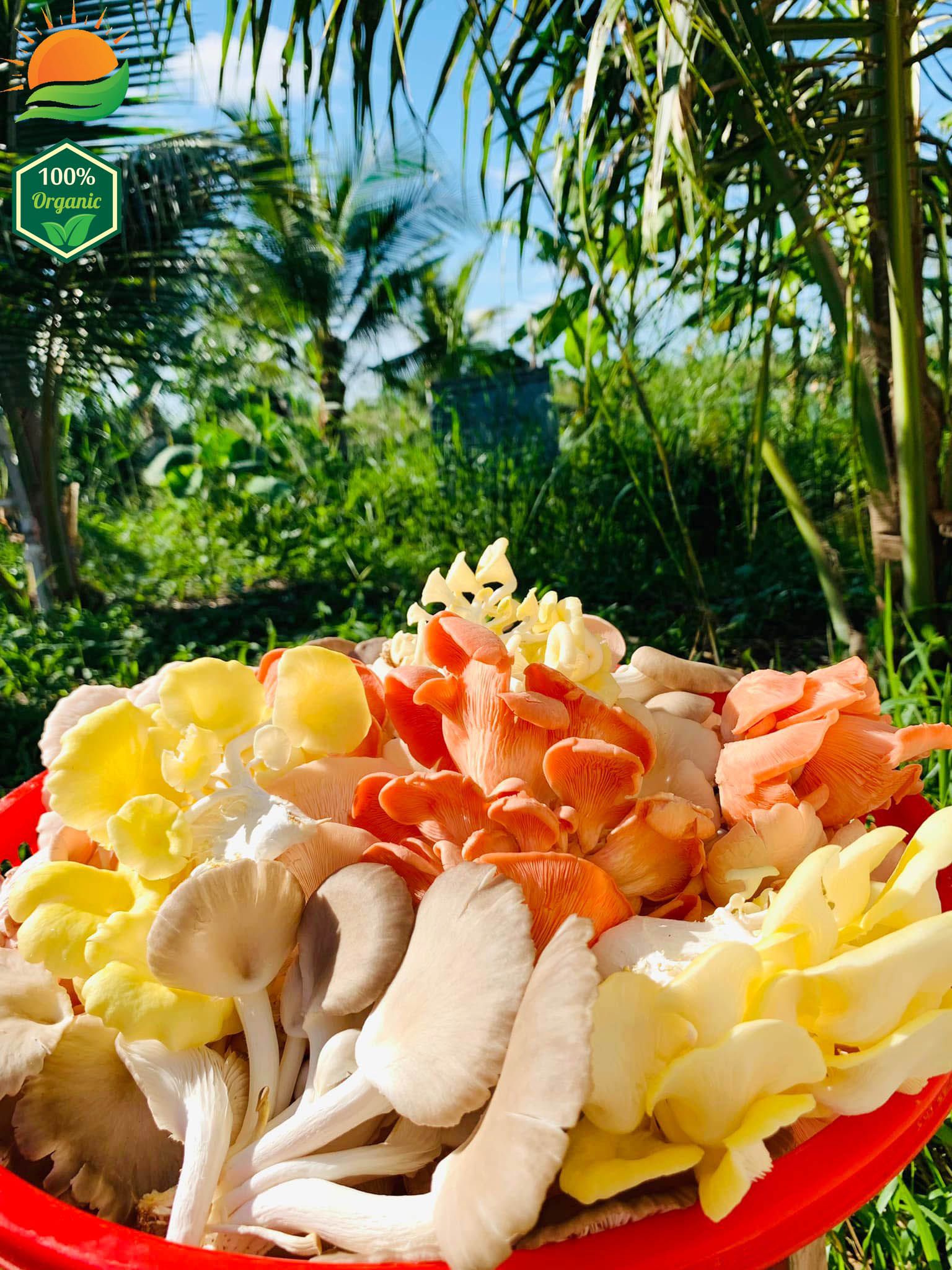 Combo Lẩu Nấm Số 2