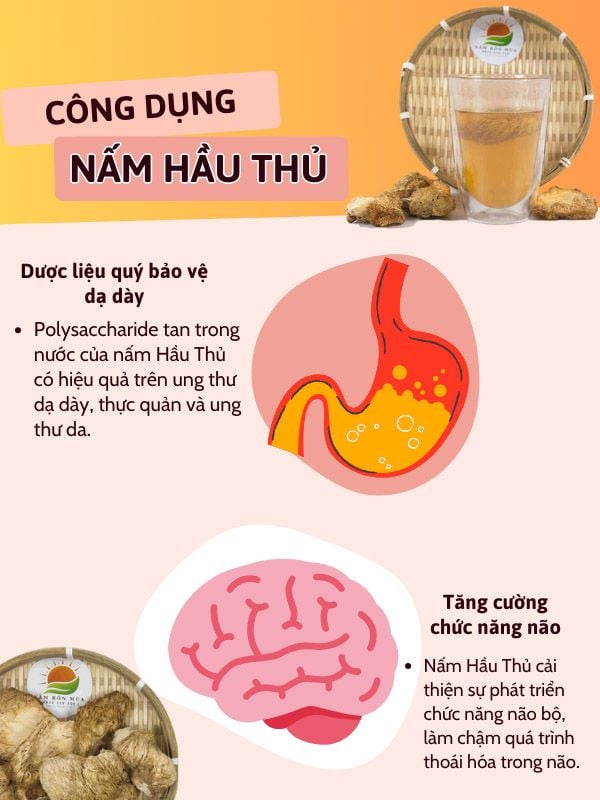Nấm Hầu Thủ Sấy Thăng Hoa | Nấm Đầu Khỉ Sấy Thăng Hoa - 100% Hảo Hạng
