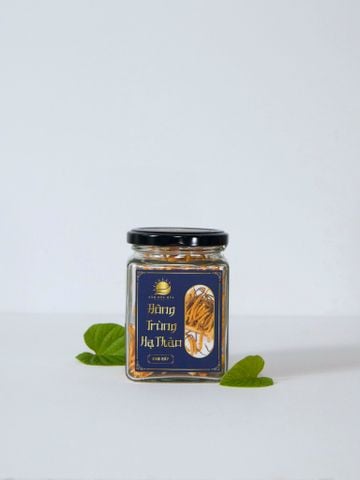 Đông Trùng Hạ Thảo - Cao Cấp 12.5gram