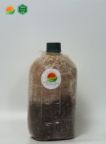 Combo 3 Phôi Nấm Mối Đen