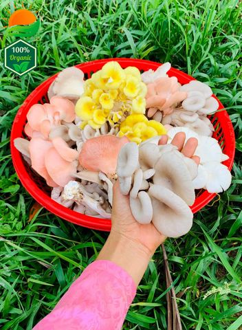 Combo Lẩu Nấm Số 3