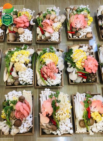 Combo Lẩu Nấm Số 5