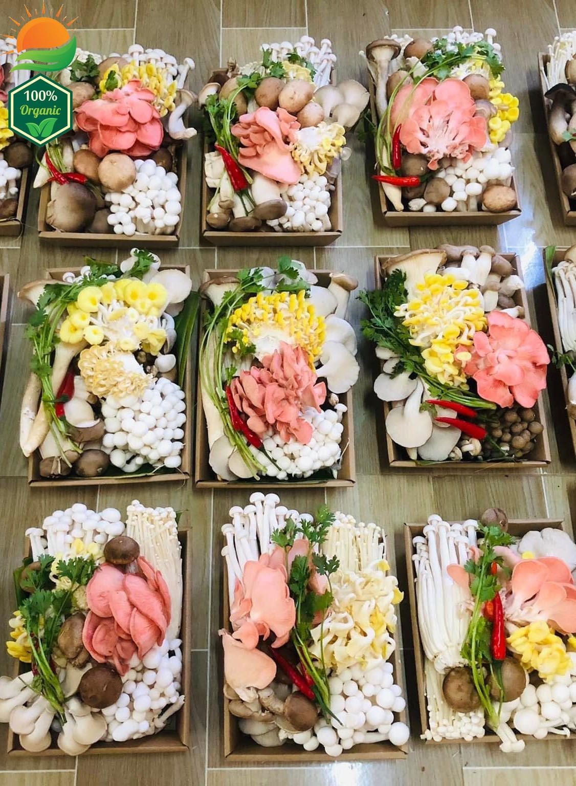 Combo Lẩu Nấm Số 5