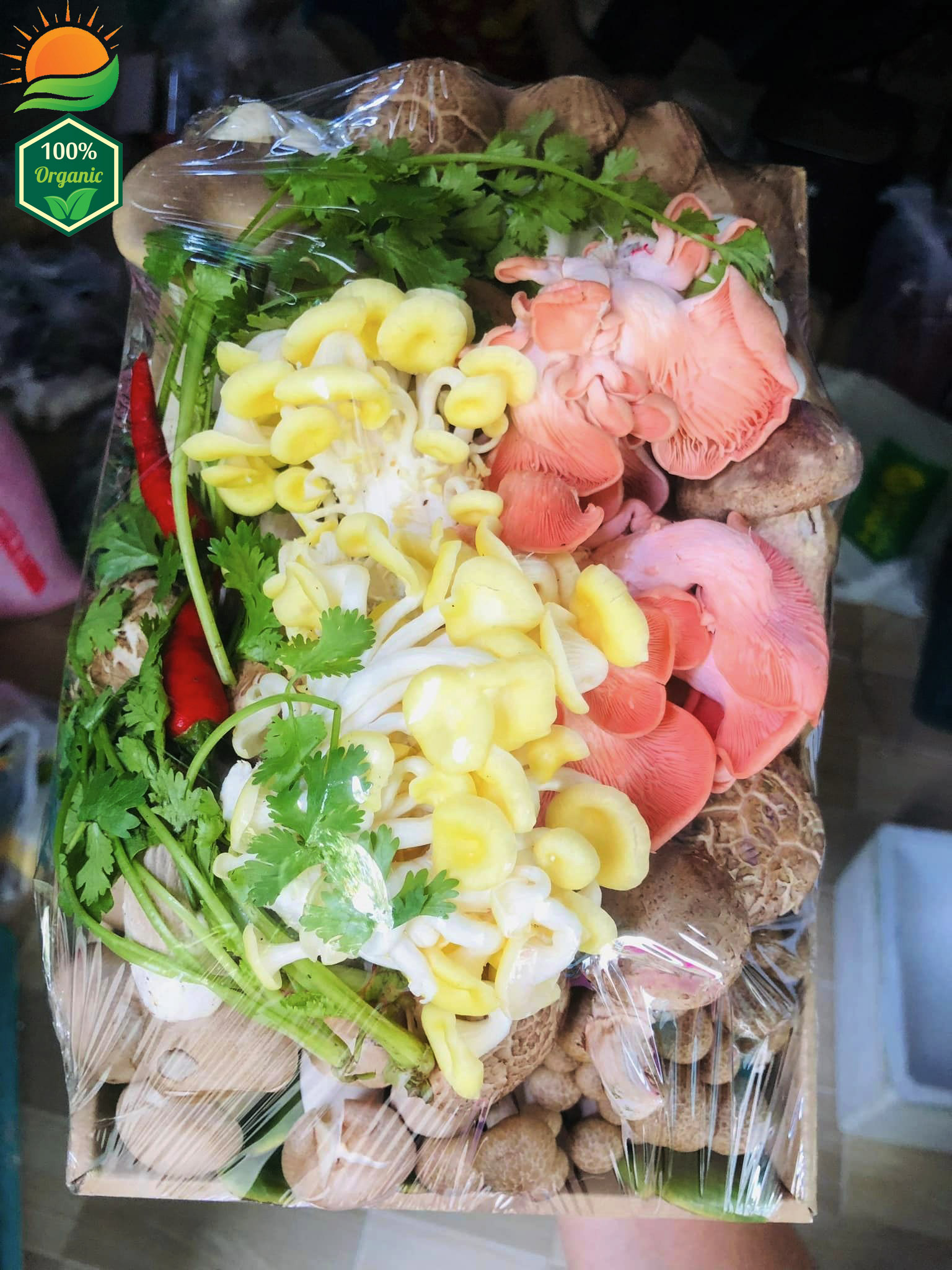 Combo Lẩu Nấm Số 5