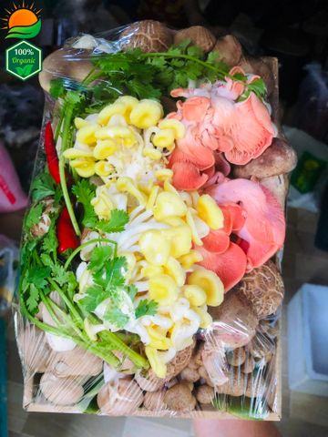 Combo Lẩu Nấm Số 5