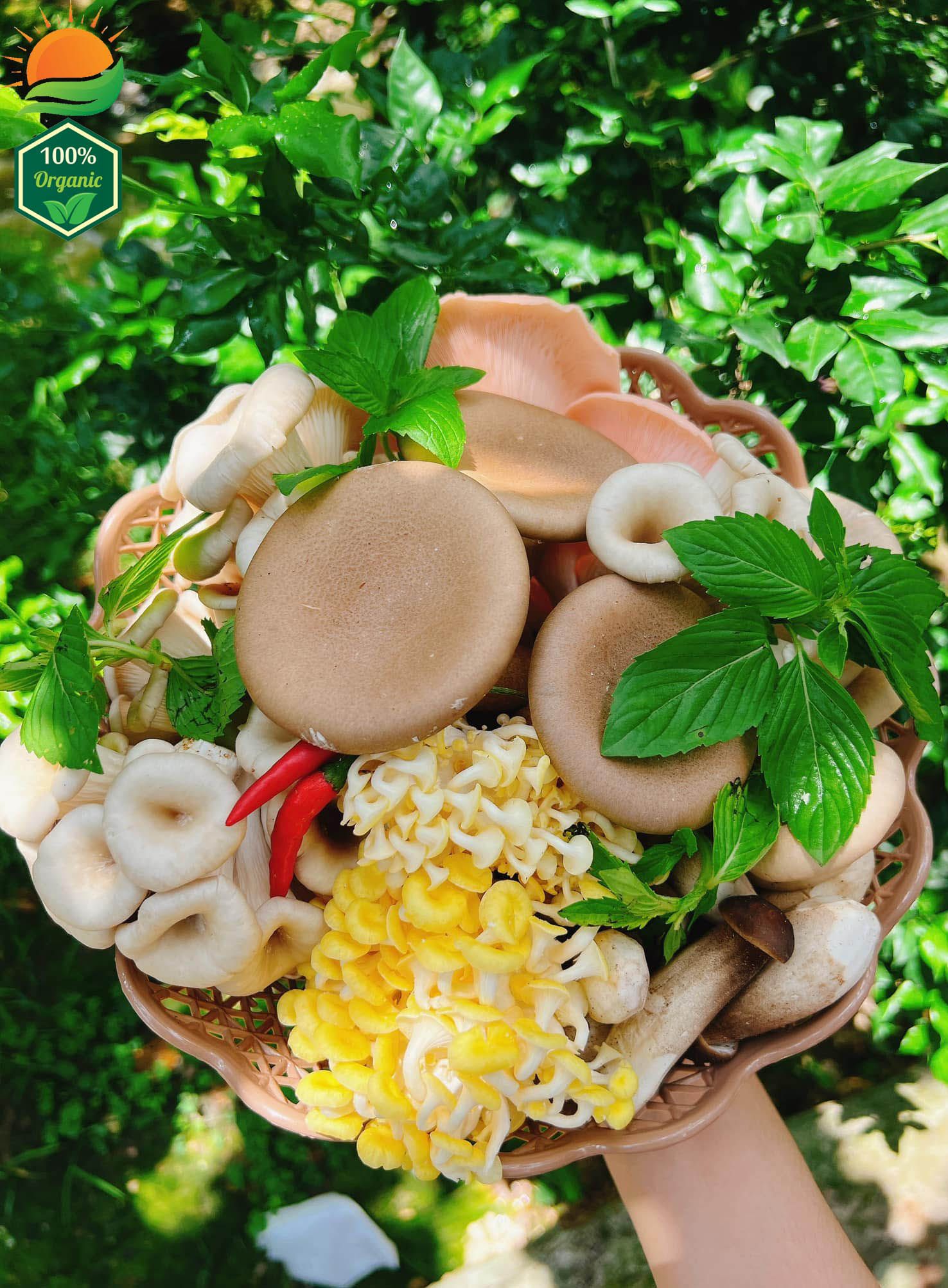 Combo Lẩu Nấm Số 1