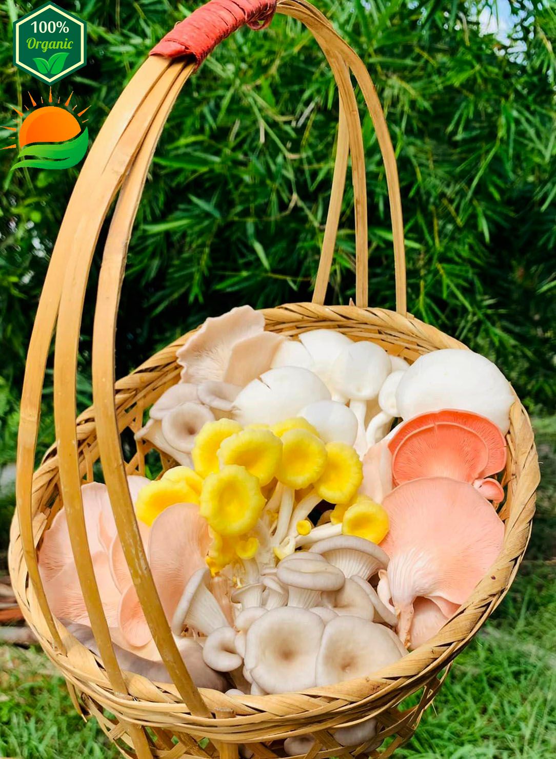 Combo Lẩu Nấm Số 3