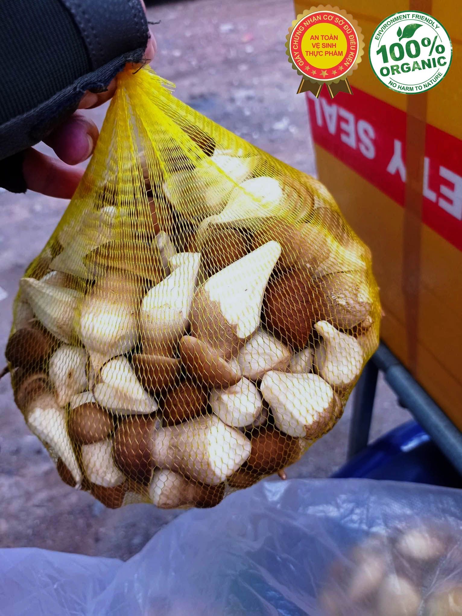 Mua Nấm Mối Đen Tươi – Địa Chỉ Uy Tín Tại Tp HCM