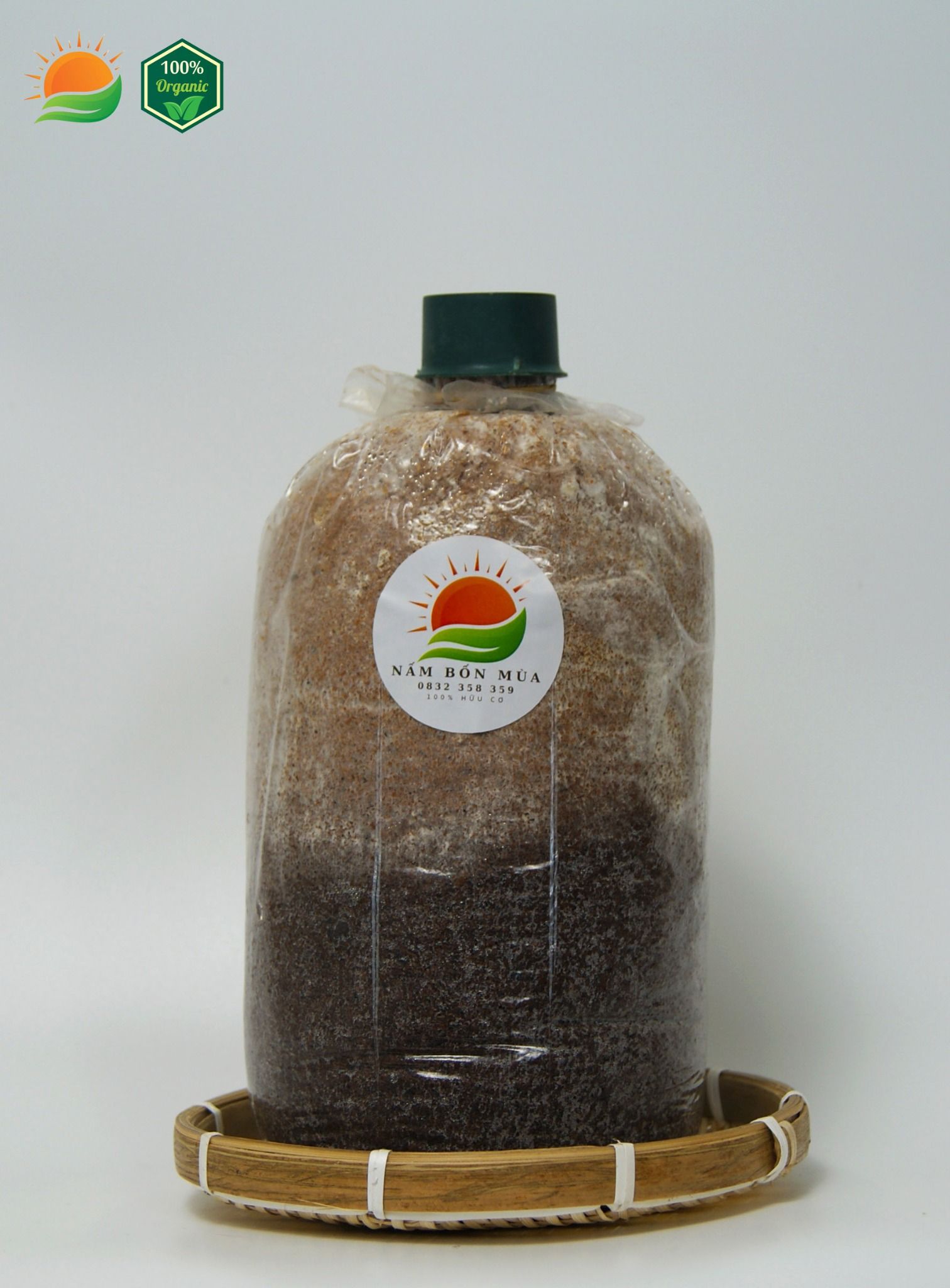 Phôi Nấm Chân Dài 100% Hữu Cơ