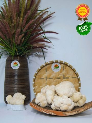 Nấm Hầu Thủ Tươi – chứng nhận Vệ Sinh - An Toàn Thực Phẩm