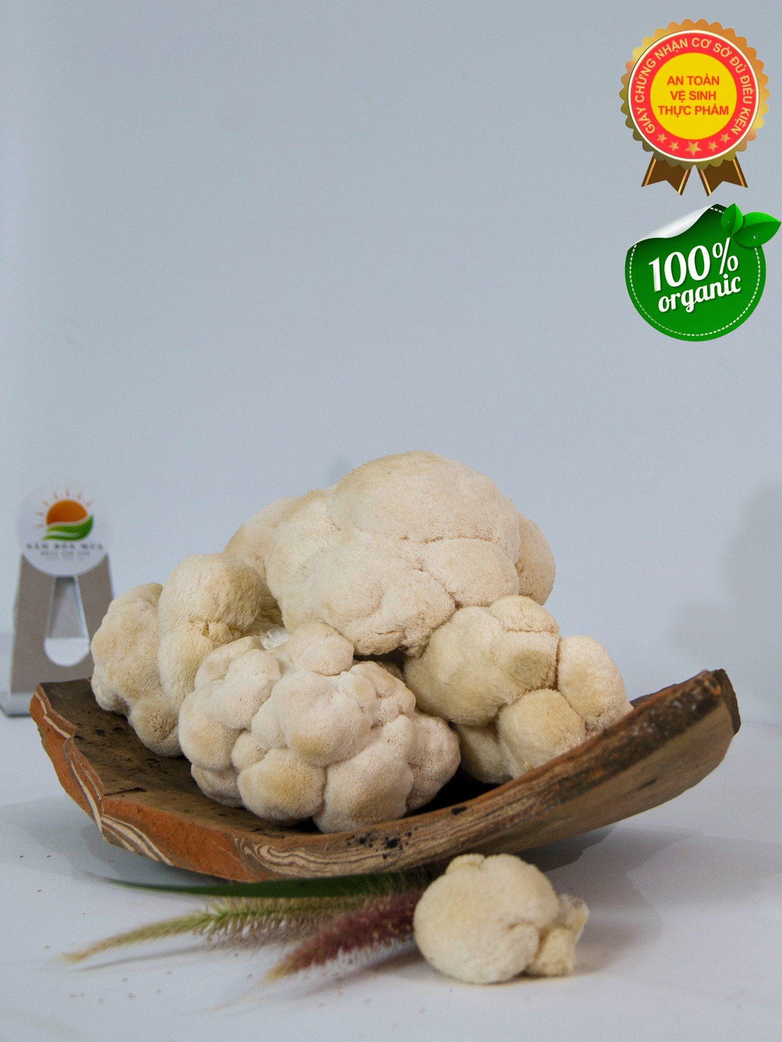 Nấm Hầu Thủ Tươi – chứng nhận Vệ Sinh - An Toàn Thực Phẩm