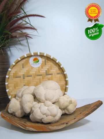 Nấm Hầu Thủ Tươi – chứng nhận Vệ Sinh - An Toàn Thực Phẩm