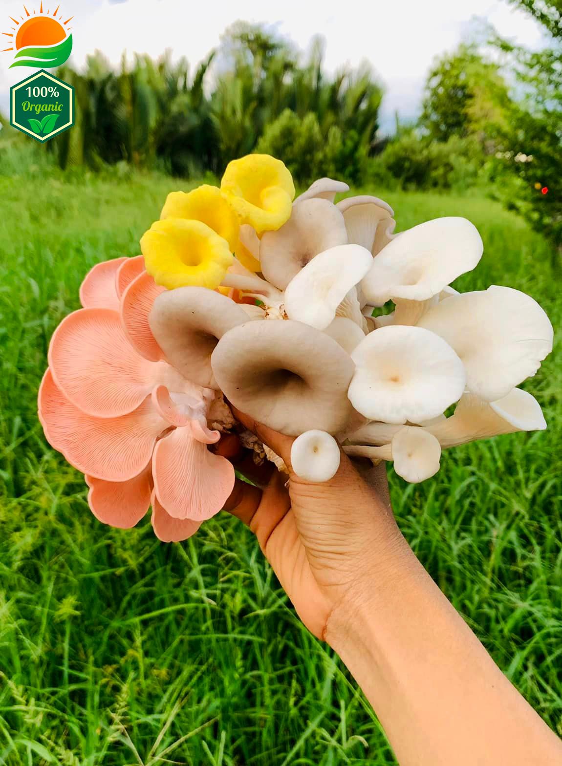 Combo Lẩu Nấm Số 3