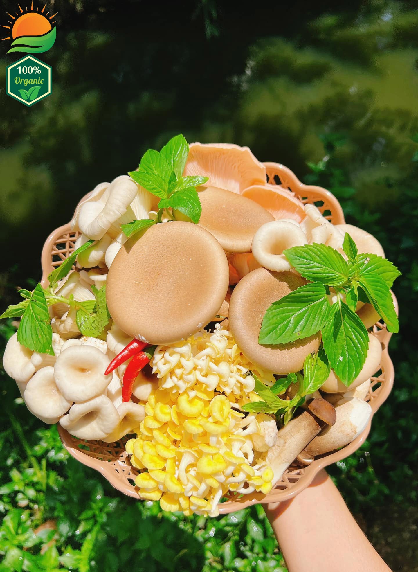 Combo Lẩu Nấm Số 1