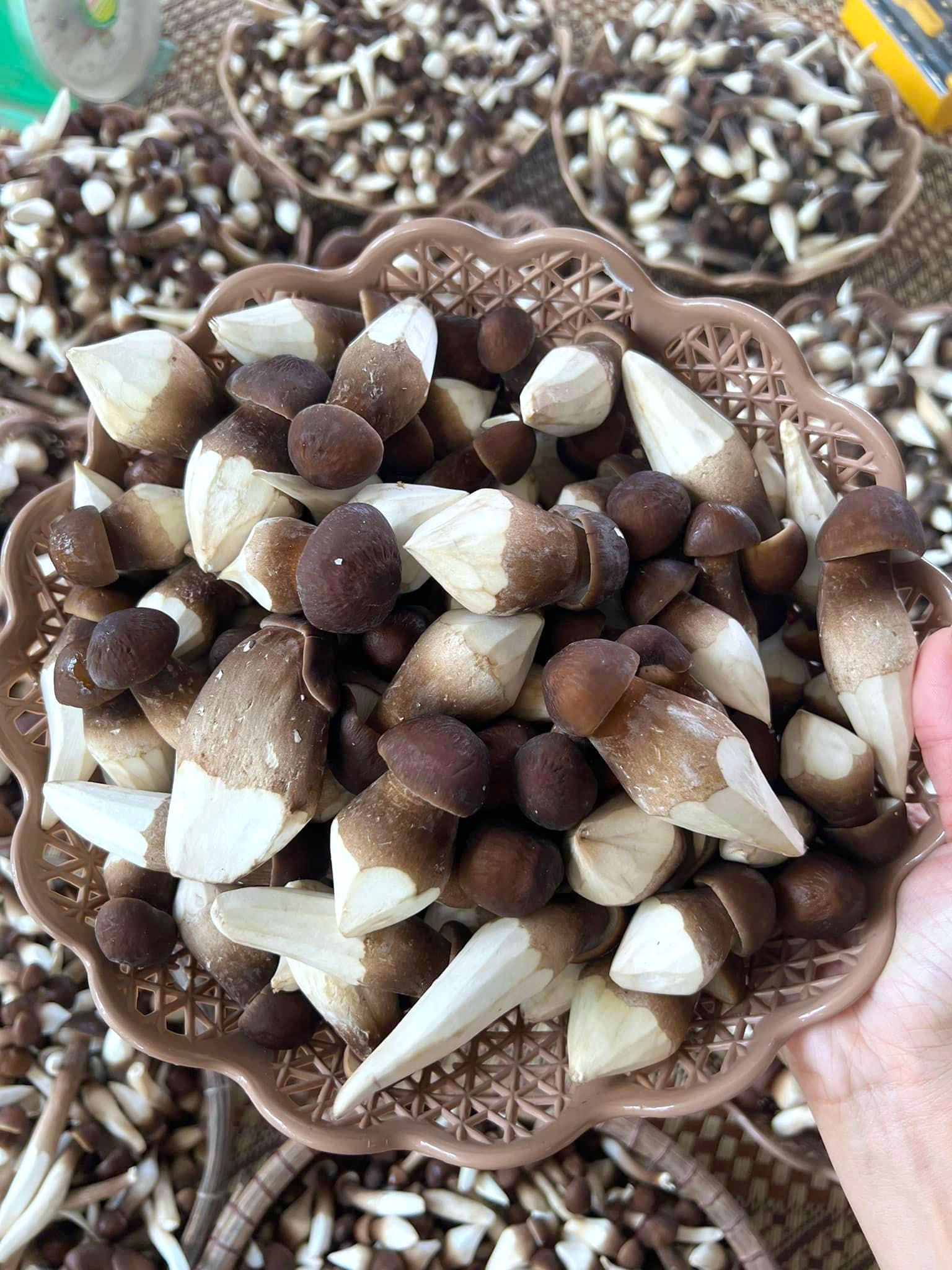 Bán Nấm Mối Đen Baby | Bán Lẻ Nấm Mối Đen 150-300-500gram