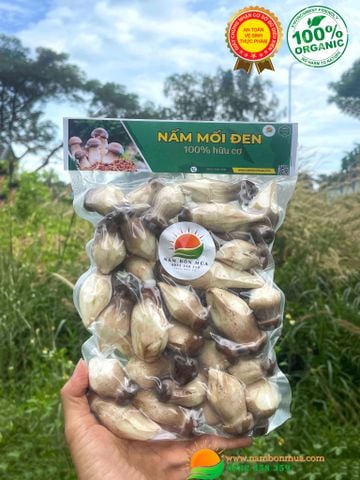 Mua Nấm Mối Đen Tươi – Địa Chỉ Uy Tín Tại Tp HCM