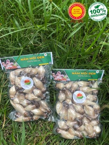 Mua Nấm Mối Đen Tươi – Địa Chỉ Uy Tín Tại Tp HCM