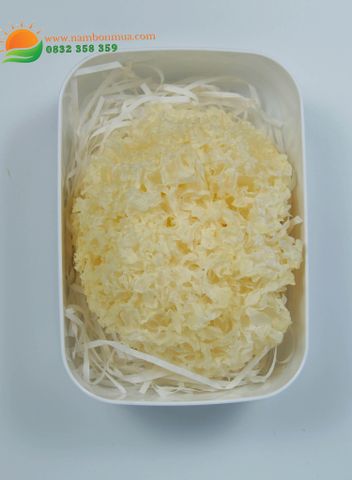 Nấm Tuyết | Món Qùa Bổ Dưỡng Cho Sức Khỏe