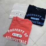  Áo phông nam AE nhiều mẫu có hình 0313008 G5-T1 