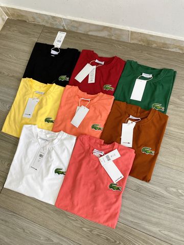  Áo phông trơn LACOSTE G1T1 SALE 