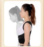  Đai lưng 