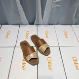  Dép Chloe 2 màu DK 