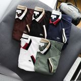  Polo LACOSTE 5 màu 