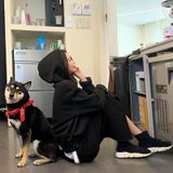  Hoodie GAP 1015022 duy nhất màu xám Dk1/4/26 